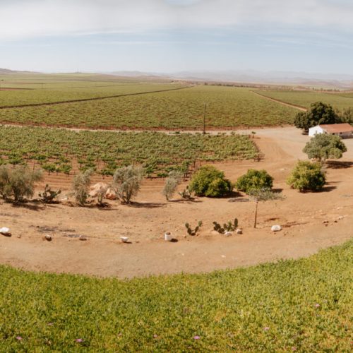 Llano Colorado