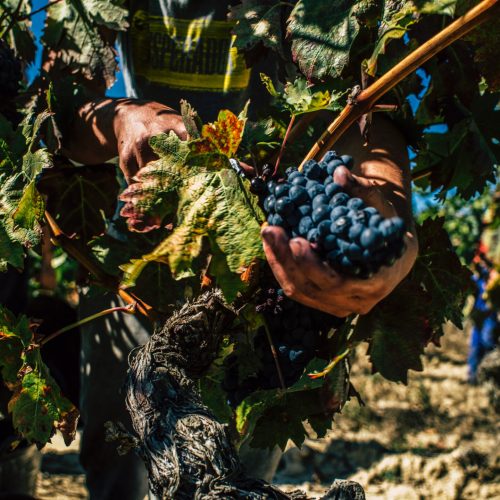 385B7C88-7F31-480B-A3AA-32E005F22723