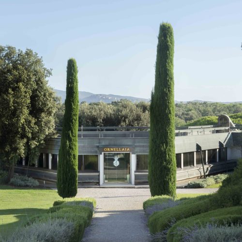 80300120181_V_0__chateau_5826
