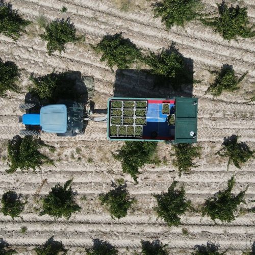 DJI_0210-min-e1634648617273