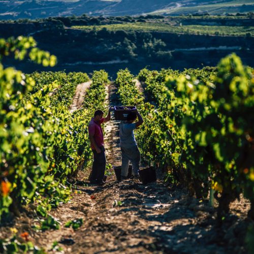 E7B50203-3343-4DED-BD43-D8DA650CAD13