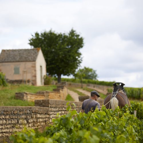 JosephDrouhin_LabouràCheval2