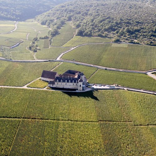 JosephDrouhin_ParcelleDuClosDeVougeotGrandCru