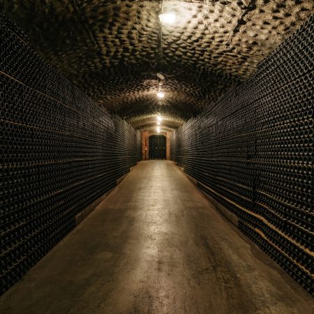 Vallformosa_bodega (5)