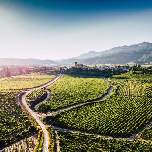 ViñaCoqueta_Samaniego_RdG