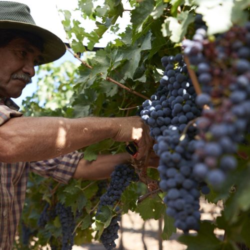 c37724cd2ab235e1b5ecd4d285de47e9167bba8b_res_res